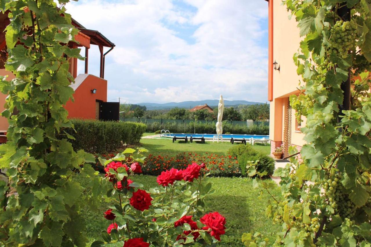Къщи За Гости Ореха Samokov Exteriör bild